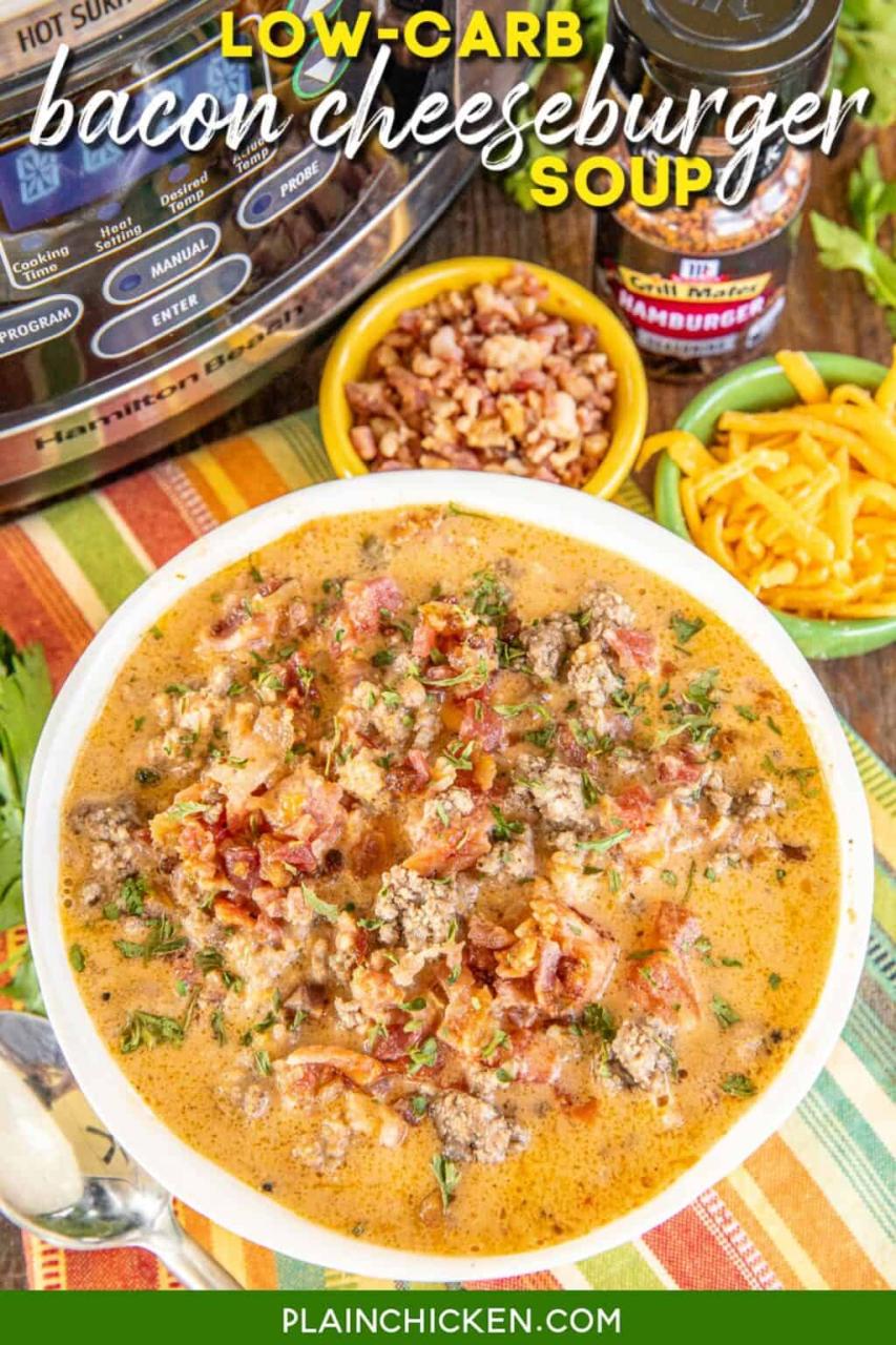 Slow Cooker LowCarb Bacon Cheeseburger Soup Plain Chicken
